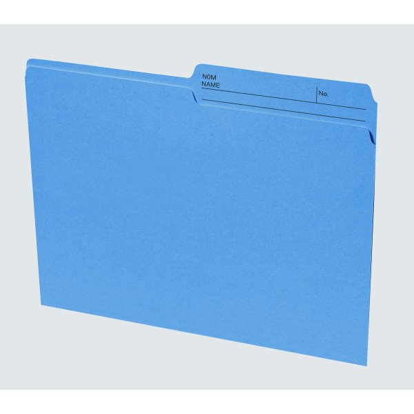 Basics® Coloured Reversible File Folders, Letter, Blue, 100/bx